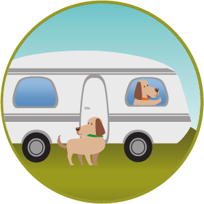 Camping-Urlaub-mit-Hund