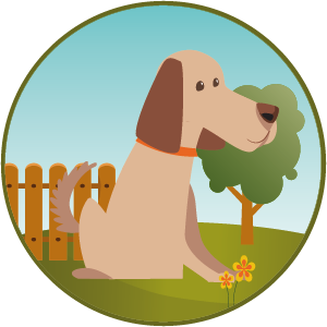 Gartenauslauf-Urlaub-mit-Hund