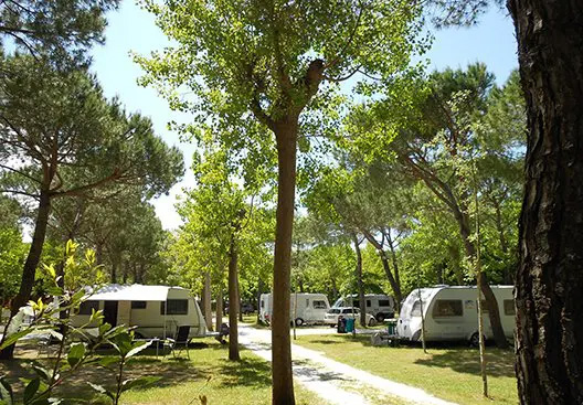 camping-mit-hund-italia-family-camping-village-standard-stellplatz