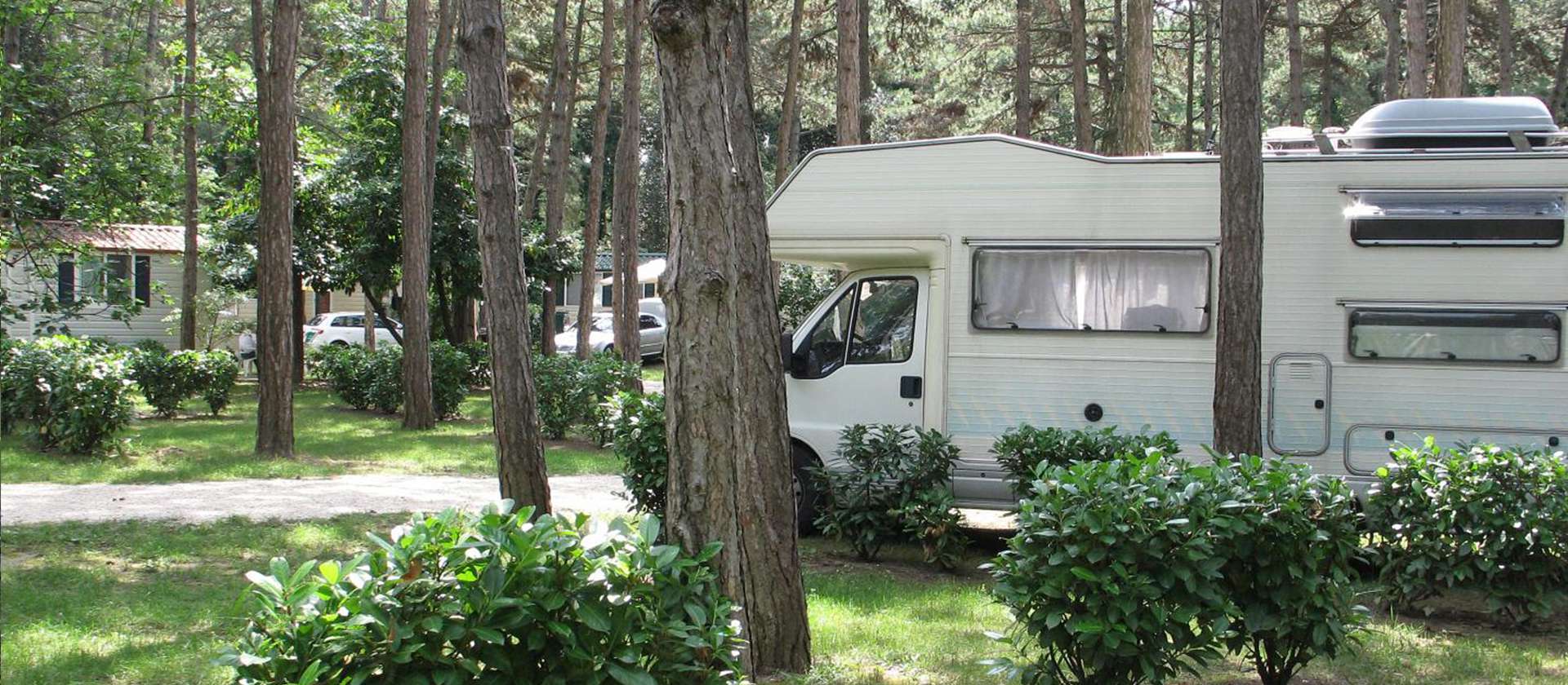 camping-mit-hund-sabbiadoro-italien-standard-stellplatz-unter-baeumen
