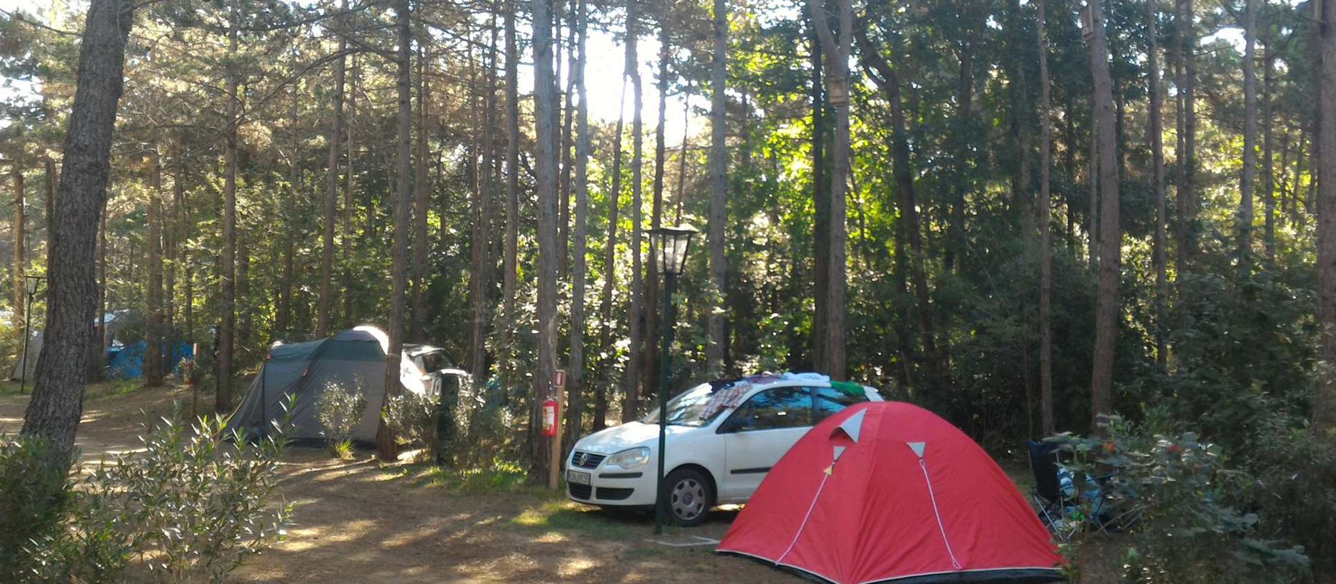 camping-mit-hund-sabbiadoro-italien-standard-stellplatz-zelte