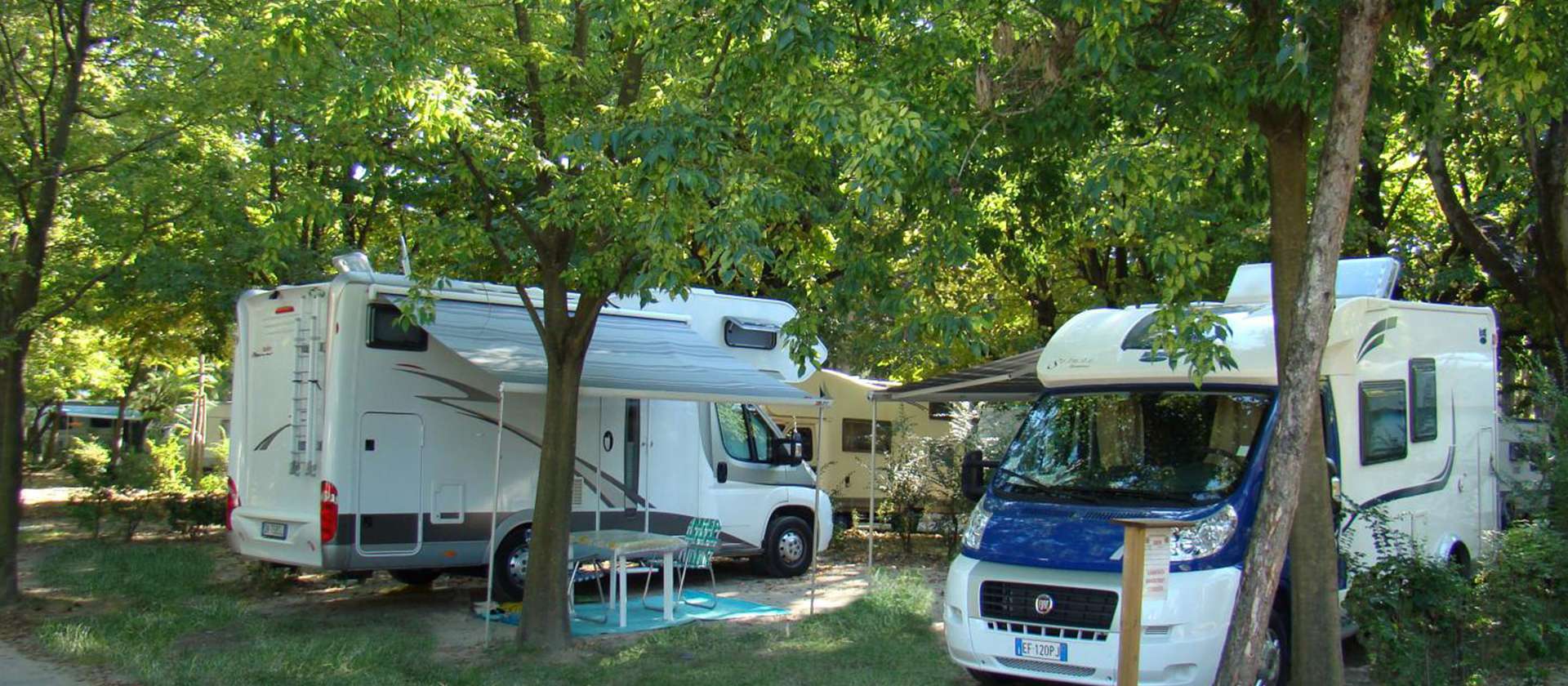 camping-mit-hund-sabbiadoro-italien-wohnmobile-unter-baeumen
