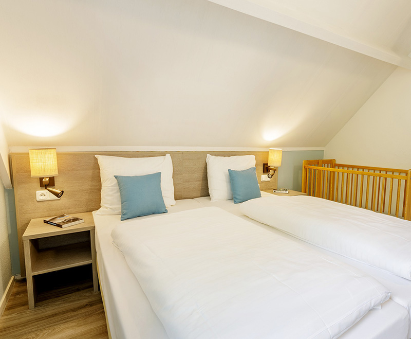 urlaub-mit-hund-center-parcs-nordseekueste-deutschland-premium-8-personen-doppelbett-babybett