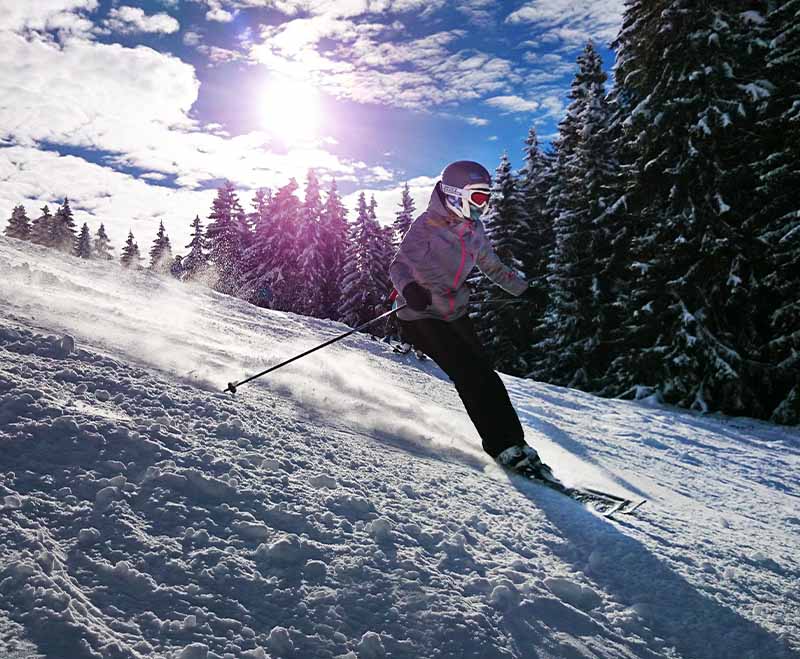 urlaub-mit-hund-lodge-oetscher-oesterreich-skifahren