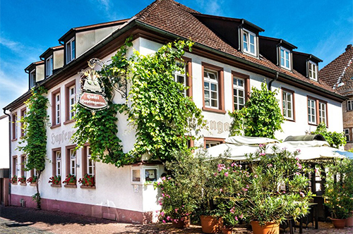 urlaub-mit-hund-hotel-flairhotel-hopfengarten-miltenberg