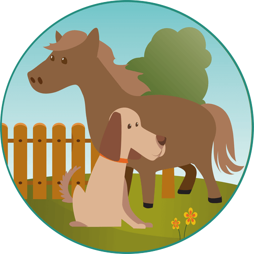 Hund und Reiten Hund und Reiten