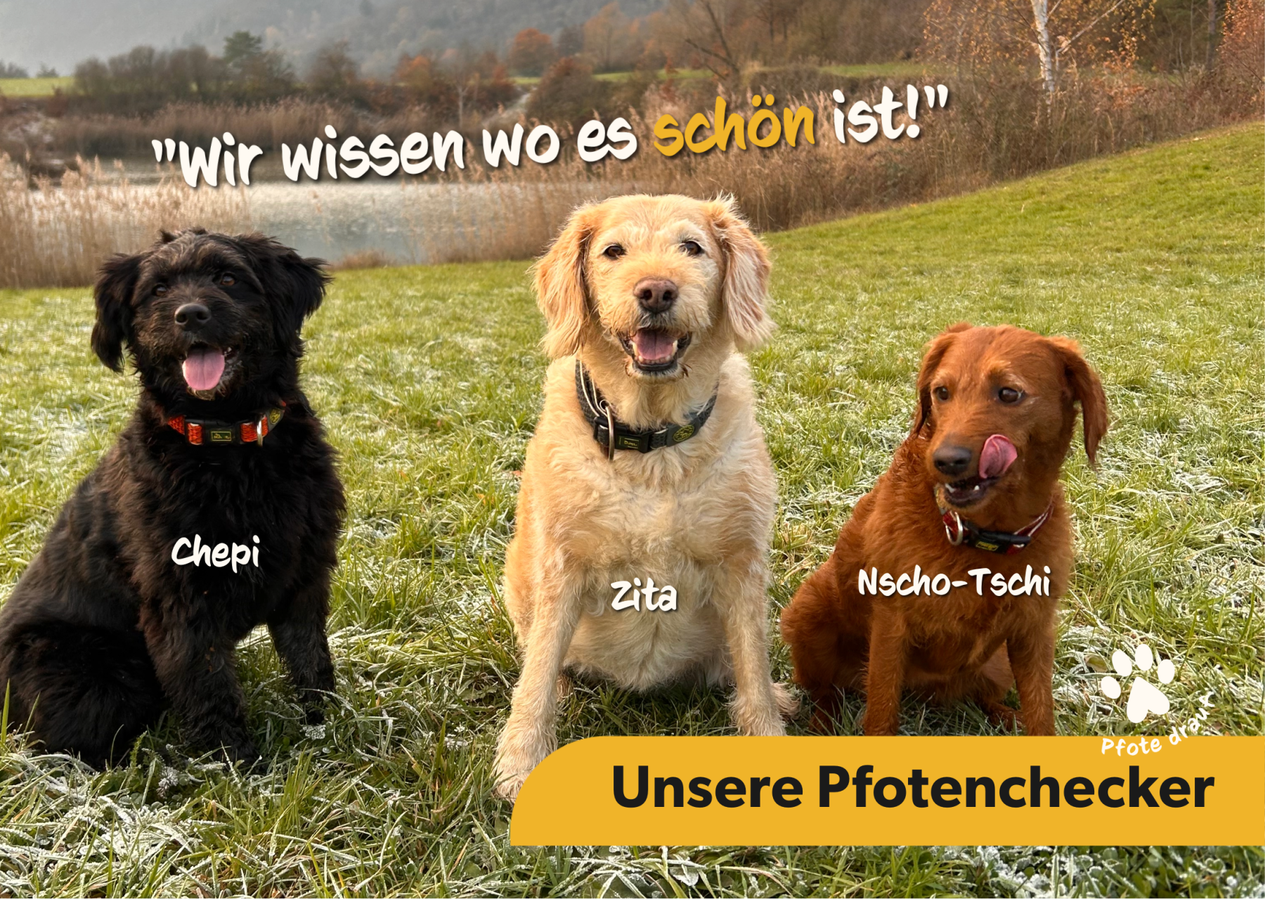 Unsere Pfotencheckerinnen bei Hund im Urlaub