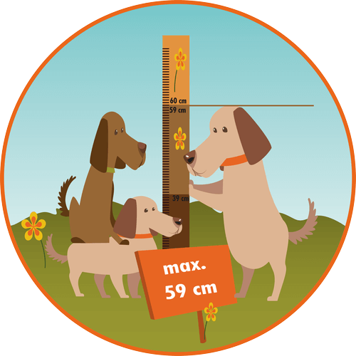 kleine & Mittlere Hunde kleine & Mittlere Hunde